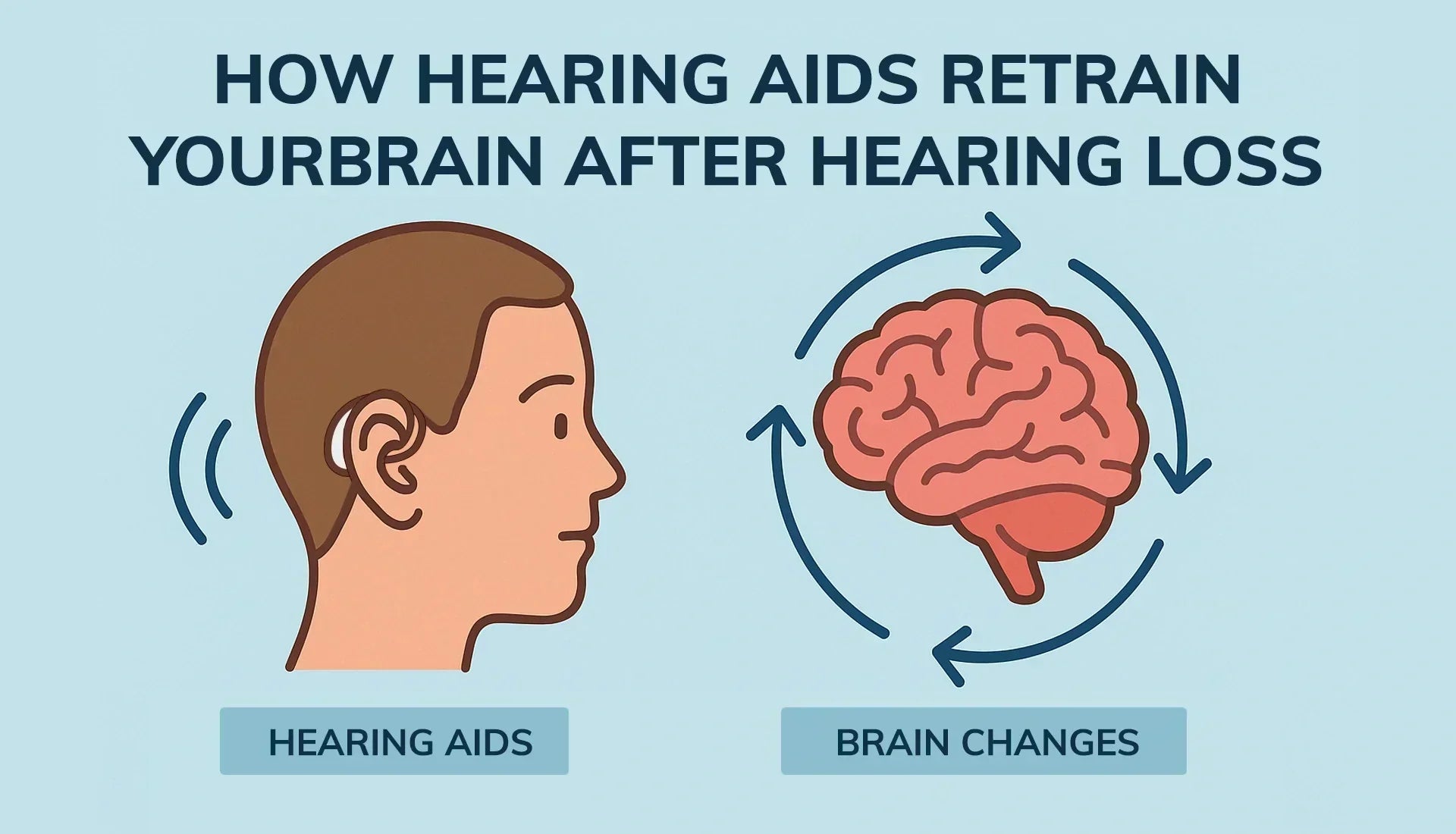 How Hearing Aids Retrain Your Brain After Hearing Loss