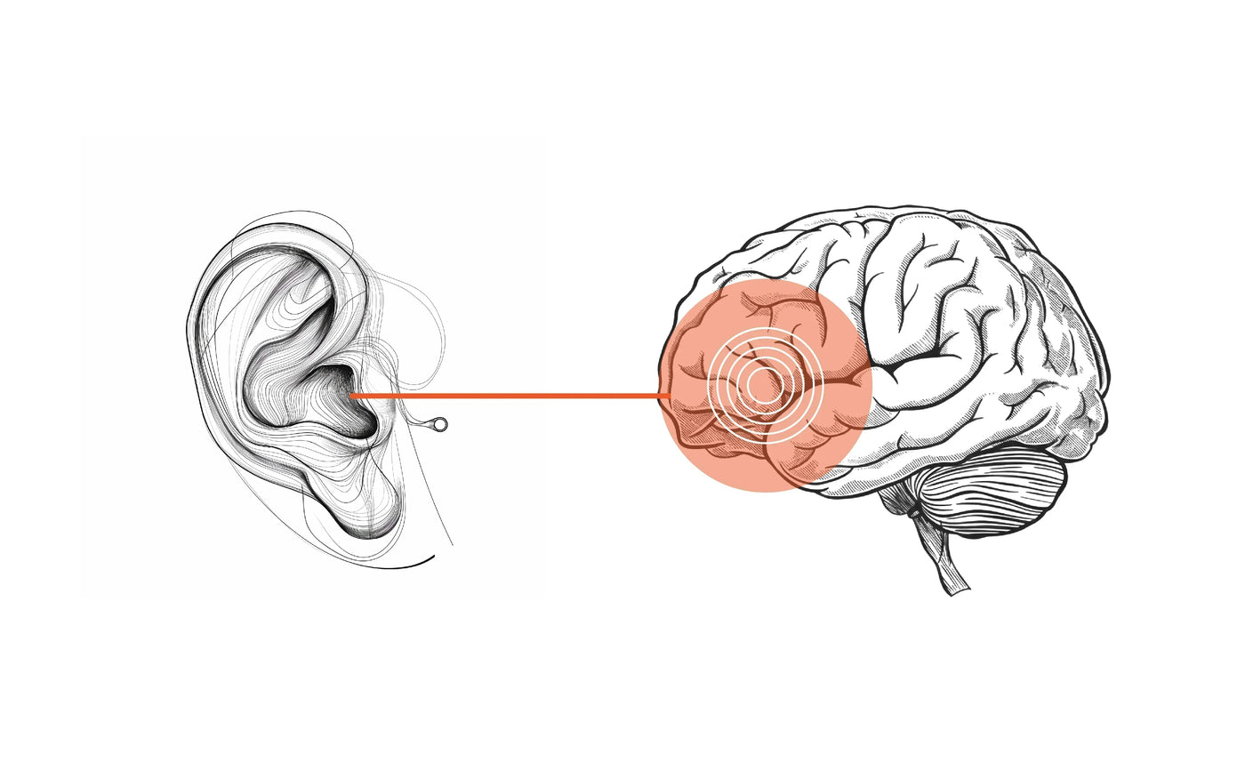 Hearing Aids & The Key to a Healthy Brain: Exploring the Connection