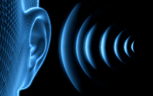 Unveiling the Truth Age-Independent Factors in Hearing Loss
