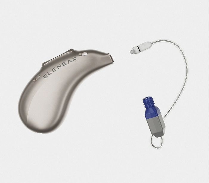 Replaceable receiver lets users change it without replacing the whole hearing aid.