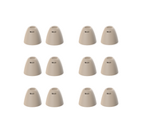 Open Domes for Delight thumbnail